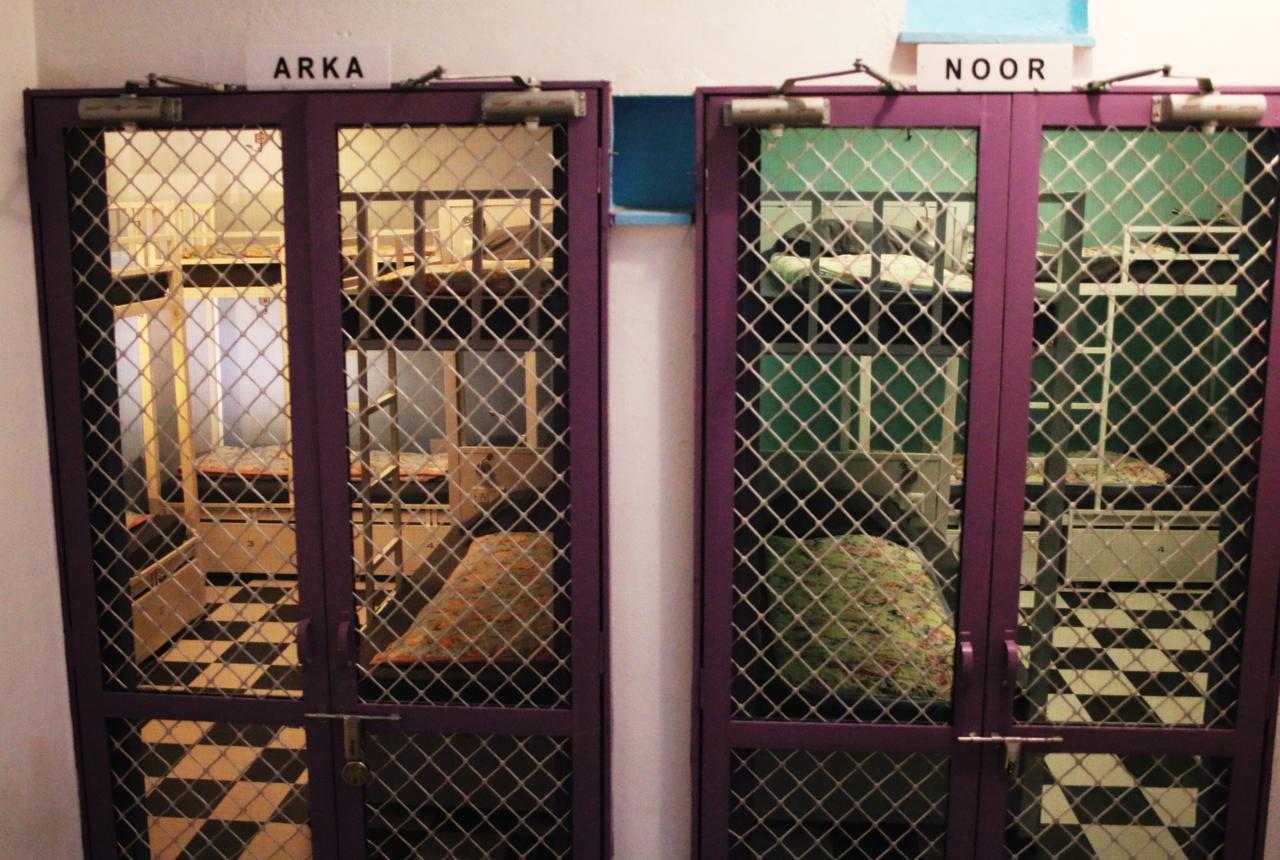 Gypsy Child Lake Hostel Udaipur Dış mekan fotoğraf
